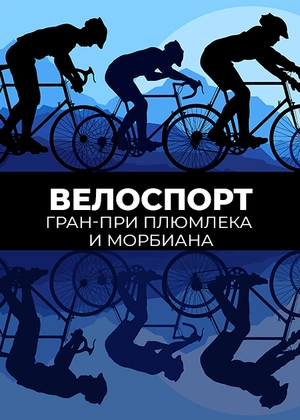 Велоспорт. Гран-при Плюмлека и Морбиана