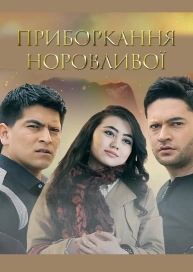 Приборкання норовливої