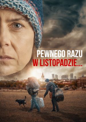 Pewnego razu w listopadzie — plakat