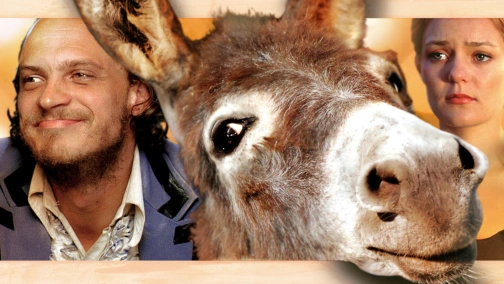 Amerykański pierwiosnek