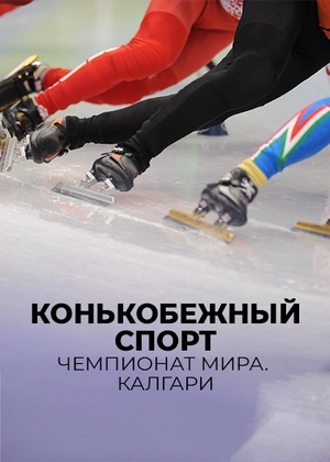 Конькобежный спорт. Чемпионат мира. Калгари