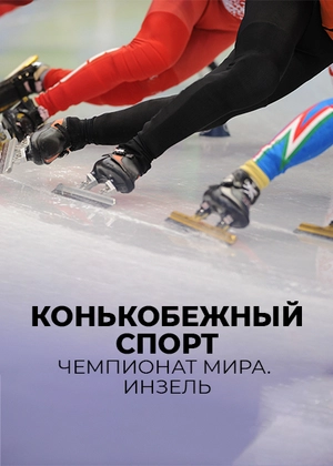 Конькобежный спорт. Чемпионат мира. Инзель