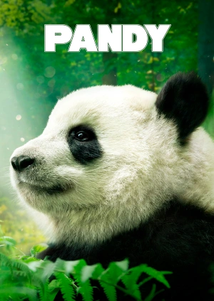 Pandy 3D
