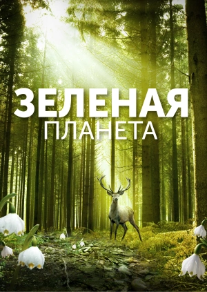 Зеленая планета