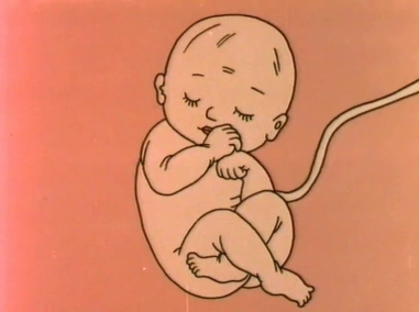 Как малыш приходит в этот мир