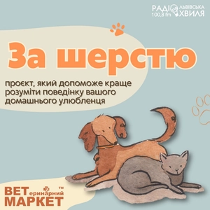 За Шерстю