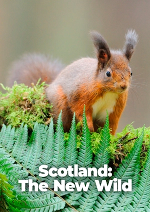 Scotland: The New Wild
