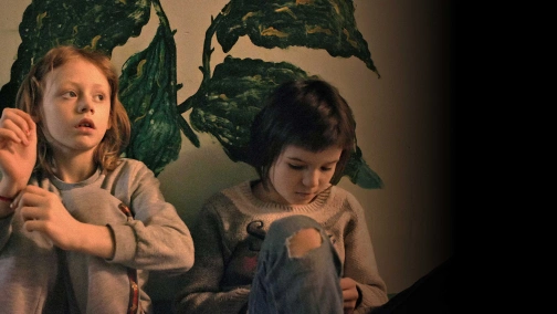 Будинок зі скалок