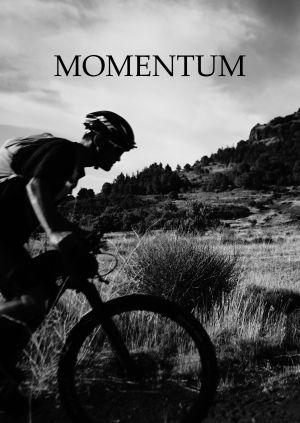 Momentum — plakat