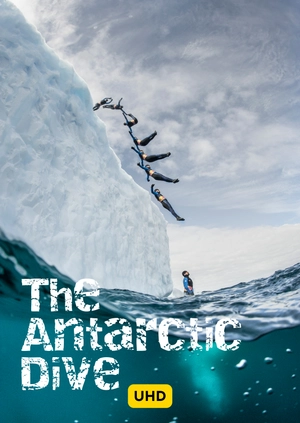 The Antarctic Dive UHD