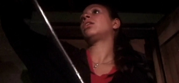 Охотница на вампиров