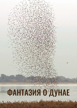 Фантазия о Дунае