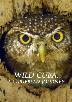 Wild Cuba: A Caribbean Journey