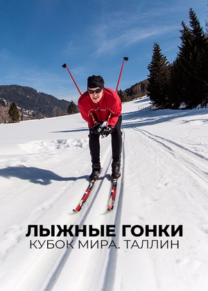 Лыжные гонки. Кубок мира. Таллин