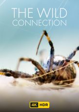 The Wild Connection UHD HDR — plakat