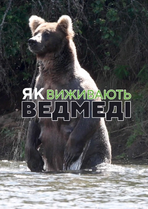 Як виживають ведмеді