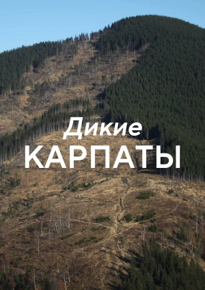 Дикие Карпаты