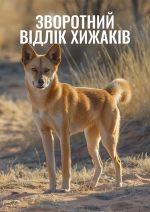 Зворотний відлік хижаків