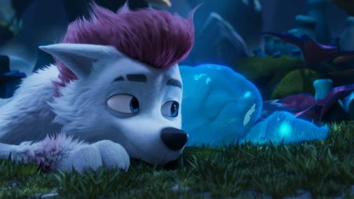 Freddy. Pudel nie z tej ziemi