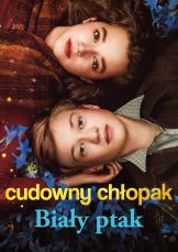 Cudowny chłopak. Biały ptak — plakat