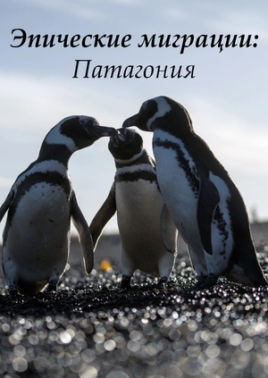 Эпические миграции: Патагония
